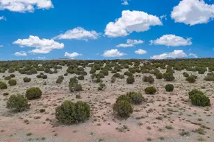 8752 S Lariat Rd, Williams, AZ 86046 - Photo 29