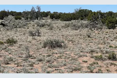 3927 Mohave Lot A 12 Acres Trail, Williams, AZ 86046 - Photo 5