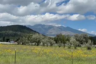 8105 E Mercury Dr, Flagstaff, AZ 86004 - Photo 29