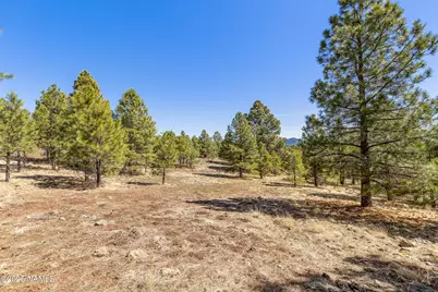 747 N Davenport Lk Road, Williams, AZ 86046 - Photo 7