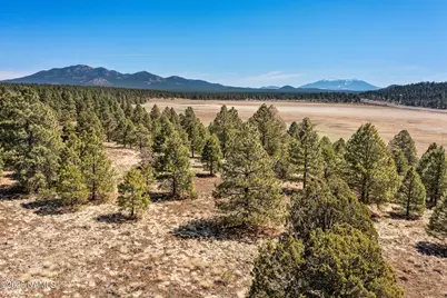 747 N Davenport Lk Road, Williams, AZ 86046 - Photo 3