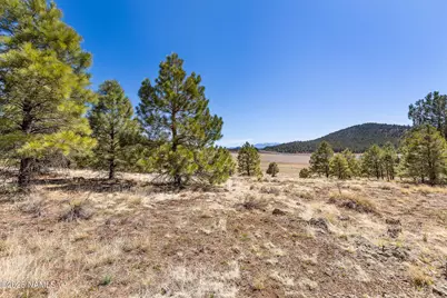 747 N Davenport Lk Road, Williams, AZ 86046 - Photo 5