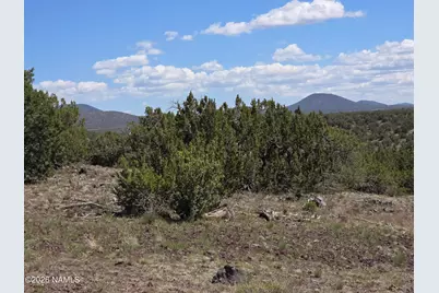 11718 S Blackbird Way, Williams, AZ 86046 - Photo 21