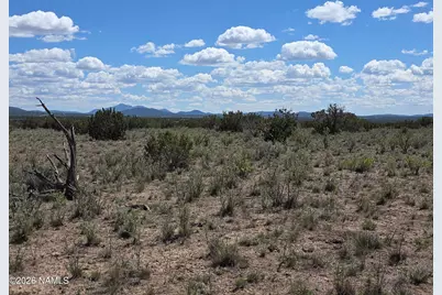 11718 S Blackbird Way, Williams, AZ 86046 - Photo 31