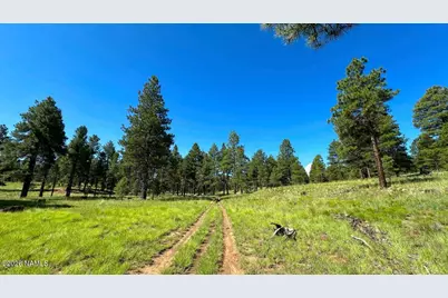 6719 E Eagle Crest Drive, Flagstaff, AZ 86004 - Photo 33