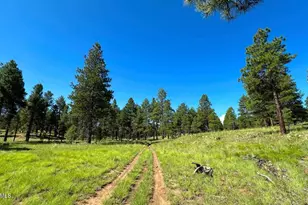 6719 E Eagle Crest Dr, Flagstaff, AZ 86004 - Photo 33