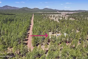 3909 E Pine Cone Dr, Williams, AZ 86046 - Photo 3