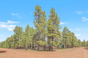 3909 E Pine Cone Dr, Williams, AZ 86046 - Photo 35
