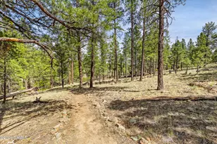 1392 Bouteloua, Flagstaff, AZ 86001 - Photo 67
