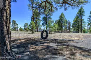 10050 Dianna Pl, Flagstaff, AZ 86004 - Photo 17