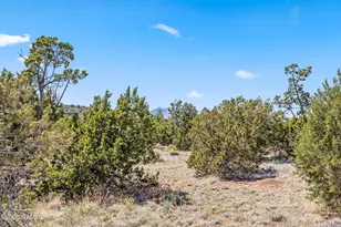 9111 E Moon Beam Ave, Flagstaff, AZ 86004 - Photo 43