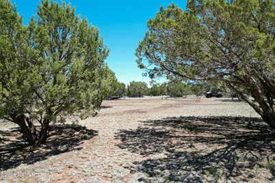 7543 N Red Lake Road #218, Williams, AZ 86046 - Photo 15