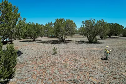 7543 N Red Lake Road #218, Williams, AZ 86046 - Photo 17