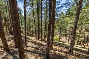 3134 Shonto Trail, Flagstaff, AZ 86005 - Photo 29