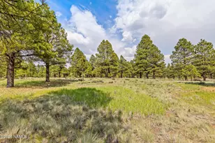5330 S Cassandra Blvd, Flagstaff, AZ 86005 - Photo 79