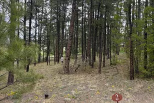 1021 Stone Hollow Loop, Williams, AZ 86046 - Photo 1