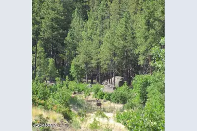 1021 Stone Hollow Loop #2, Williams, AZ 86046 - Photo 7