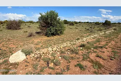 8809 Northstar Road, Williams, AZ 86046 - Photo 3