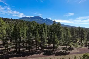 9615 Ranch at The Peaks Wy, Flagstaff, AZ 86001 - Photo 1