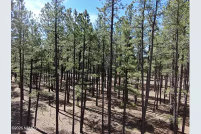 7690 W Taylor Springs Lane, Flagstaff, AZ 86001 - Photo 5