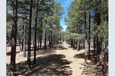 8380 Vista Peak Way, Flagstaff, AZ 86001 - Photo 9