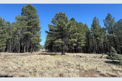 8252 Vista Peak Way, Flagstaff, AZ 86001 - Photo 7