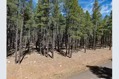 9576 Ranch At The Peaks Way, Flagstaff, AZ 86001 - Photo 5