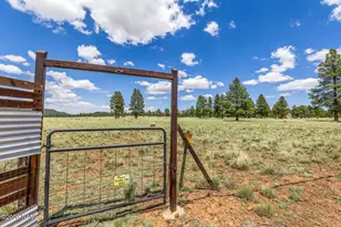 13881 E Wild Bill Rd, Parks, AZ 86018 - Photo 69