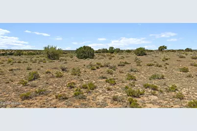 8771 Northstar Road, Williams, AZ 86046 - Photo 11