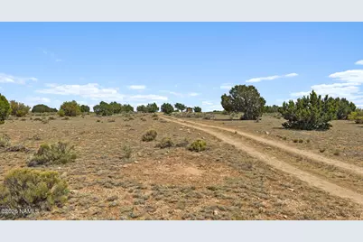8771 Northstar Road, Williams, AZ 86046 - Photo 3