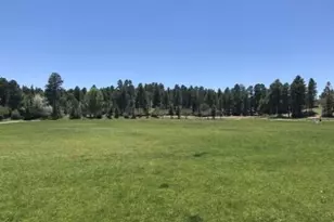 4505 E Spring Meadows Cir, Flagstaff, AZ 86004 - Photo 21
