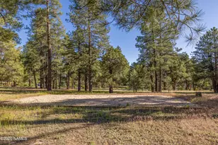 1344 Buckhorn Loop, Flagstaff, AZ 86005 - Photo 7