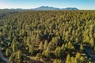 1344 Buckhorn Loop, Flagstaff, AZ 86005 - Photo 63