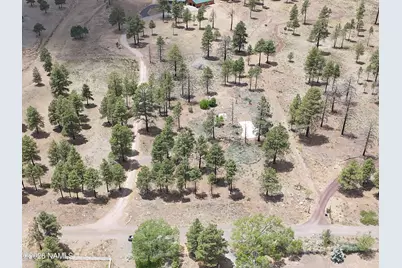 12390 N Copeland Lane, Flagstaff, AZ 86004 - Photo 3