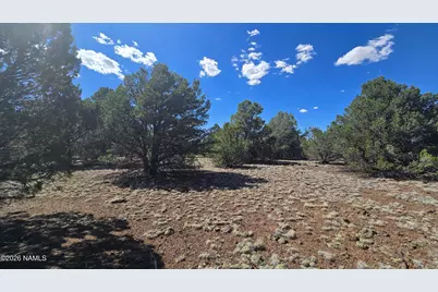 8012 Daisy Drive, Williams, AZ 86046 - Photo 5
