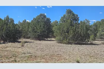 8012 Daisy Drive, Williams, AZ 86046 - Photo 7