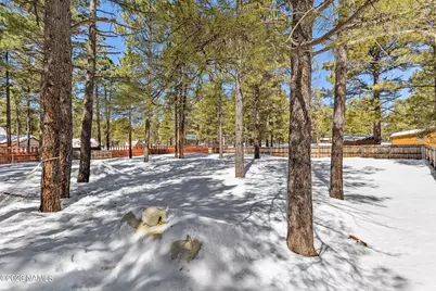 1678 N Spring Valley Road, Parks, AZ 86018 - Photo 43
