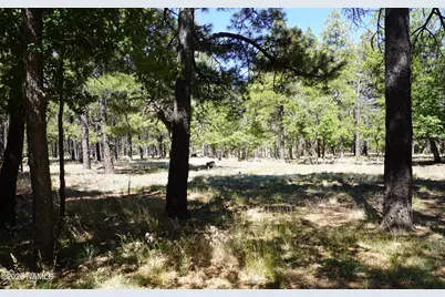 1568 N Wakonda Street, Flagstaff, AZ 86004 - Photo 39