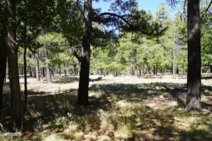 1568 N Wakonda St, Flagstaff, AZ 86004 - Photo 39
