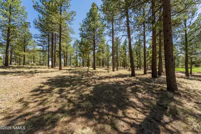 3663 S Woodland Hills Drive, Flagstaff, AZ 86005 - Photo 5