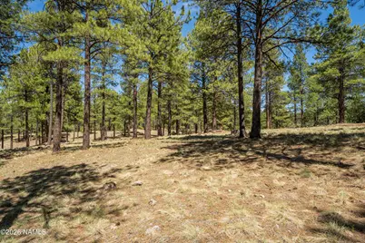 3663 S Woodland Hills Drive, Flagstaff, AZ 86005 - Photo 3