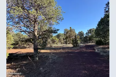 1302 E Bluebell Street, Williams, AZ 86046 - Photo 5