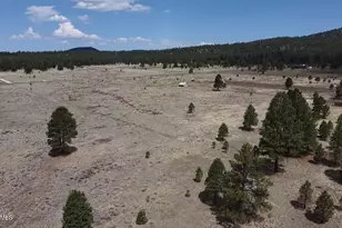 957 S Appaloosa Trail, Williams, AZ 86046 - Photo 1