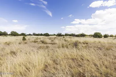 851 S Wyandotte Road, Williams, AZ 86046 - Photo 23