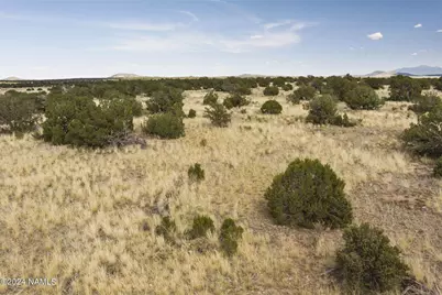 851 S Wyandotte Road, Williams, AZ 86046 - Photo 9