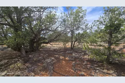 5476 N Forest Line Road, Williams, AZ 86046 - Photo 5