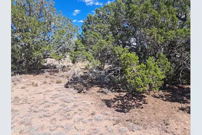 2089 S Columbine Street, Williams, AZ 86046 - Photo 17