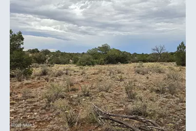 2723 Coldwater Drive, Williams, AZ 86046 - Photo 1
