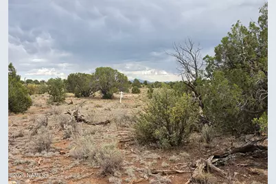 2723 Coldwater Drive, Williams, AZ 86046 - Photo 3