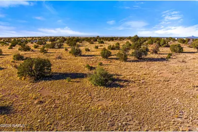 3916 S Madera Drive, Williams, AZ 86046 - Photo 3